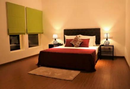 Daffodils Beach - 37