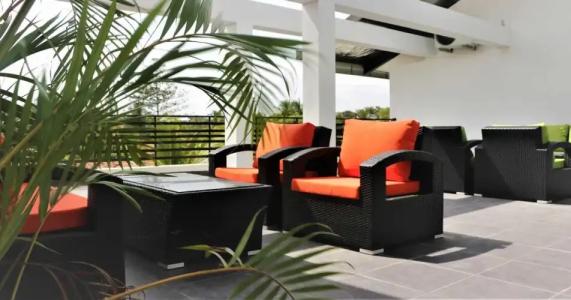 Daffodils Beach - 23