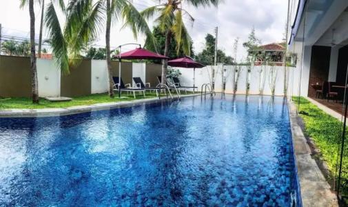 Daffodils Beach - 16