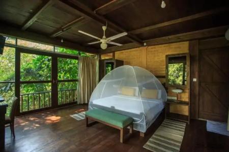 Jungle Village By Thawthisa - 59