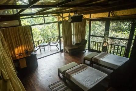 Jungle Village By Thawthisa - 65