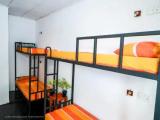 Bunk Bed in Mixed Dormitory Room