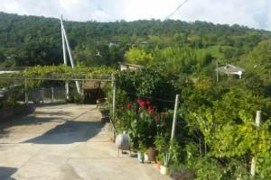 U Granta Guest house, Novyjj Afon