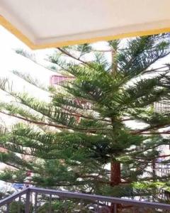 Venera Apartments - 21