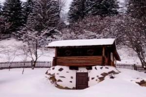 Pid lisochkom Cottage, Verkhovyna