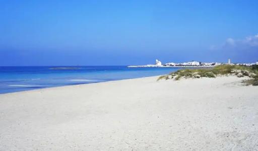 Il Poggio delle Sirene - 11