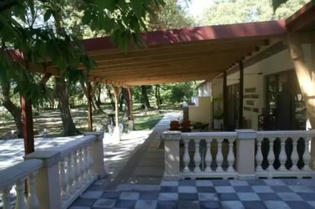 Kvareli Oaks - 1