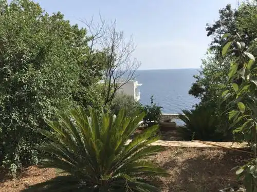 Guesthouse Oaza Emi - 12