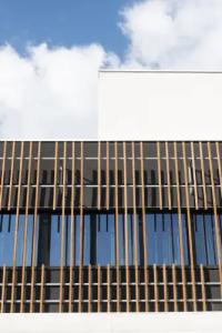 Alkamuri Posh e Spa - 3