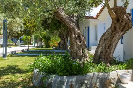 Risus Garden Marina - 9
