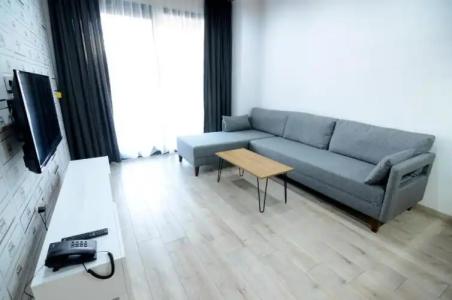 Coordinat Suits - 64