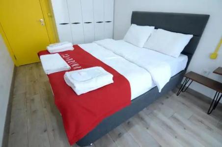 Coordinat Suits - 63