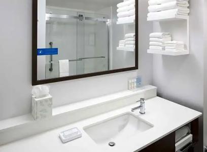 Hampton Inn and Suites by Hilton Phoenix Downtown - 57