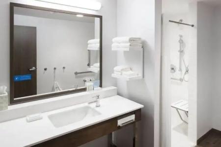 Hampton Inn and Suites by Hilton Phoenix Downtown - 42