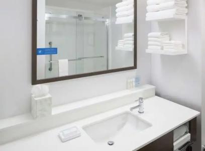 Hampton Inn and Suites by Hilton Phoenix Downtown - 34