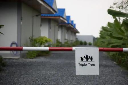 The Triple Tree Resort. - 11