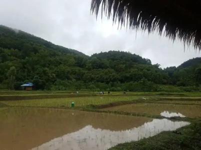 Peisanae Faikeng Resort - 19