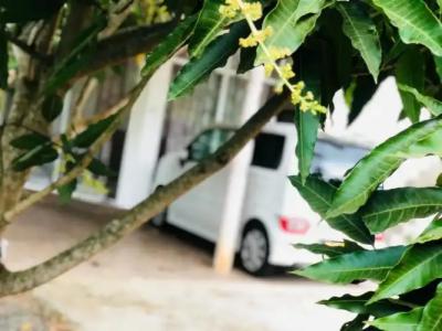 Samanala Resort - 15