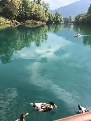 Splav "Slap" - Bungalovi - 7