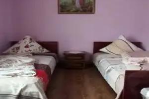 Sadyba U Vasylya, Volovec