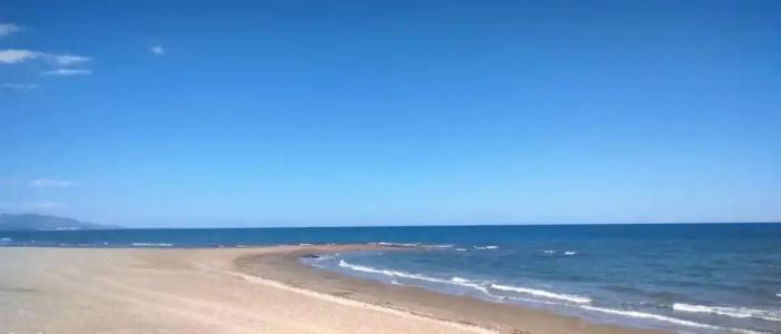 ACV - Vistamar II-1ª Linea Planta 5 Sur - 11