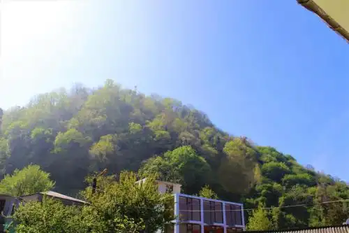 Green House - 33