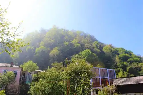 Green House - 34