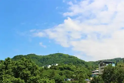 Green House - 29