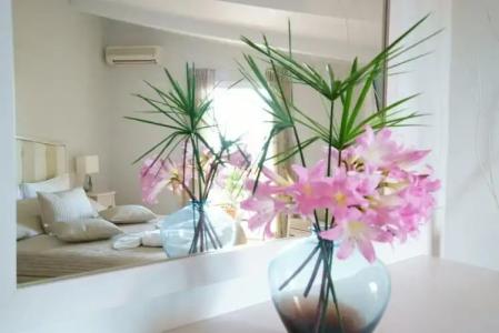 Cameo Beach Resort - 50