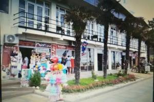 Alenka Mini-hotel, Adler