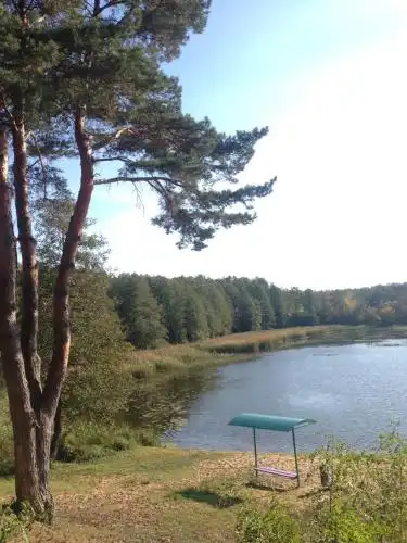 Zorka yubileynaya Childrens camp - 7