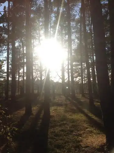 Zorka yubileynaya Childrens camp - 5