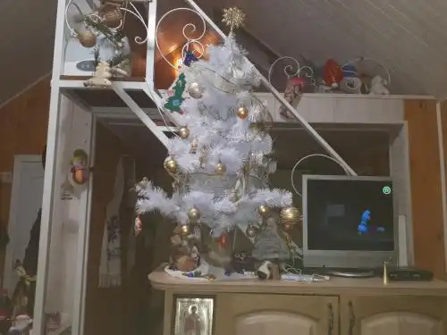 ,,Лісова хатинка"база відпочинку - 1