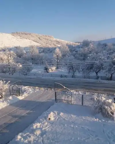 Відпочинок в Карпатах у Миколи - 26