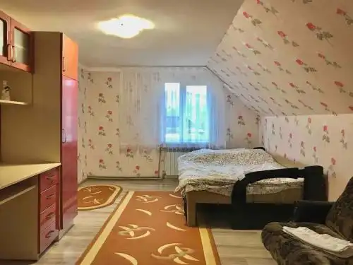 Відпочинок в Карпатах у Миколи - 6