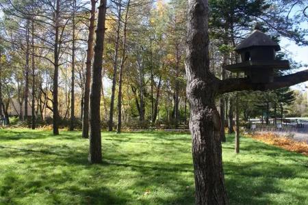 Sanatorium Stroitel - 13