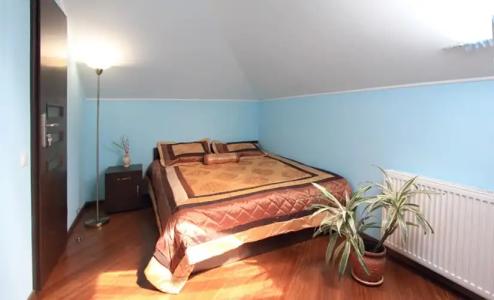 Maxima Mini-Hotel - 14