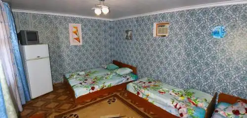 Мини-пансионат Ирина - 28