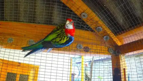 Мини-пансионат Ирина - 18