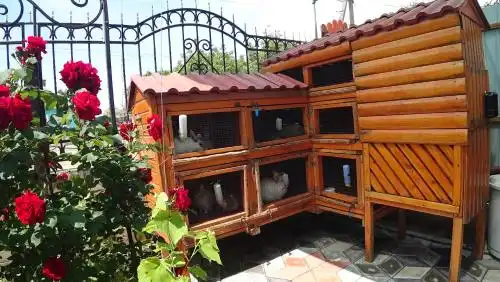 Мини-пансионат Ирина - 17