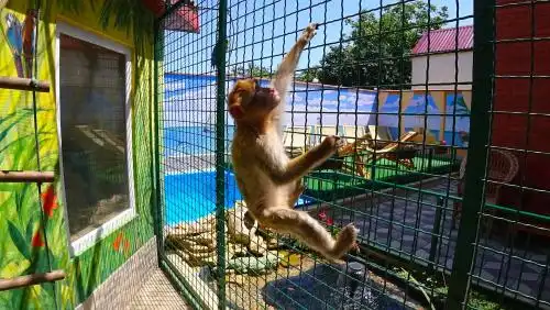 Мини-пансионат Ирина - 7