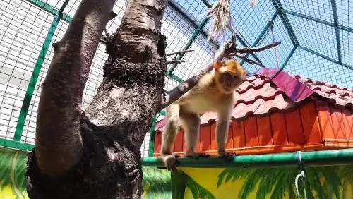 Мини-пансионат Ирина - 8