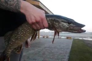 База Отдыха Ольшанка