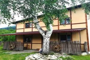 Guest House Pisnya Karpat, Skole