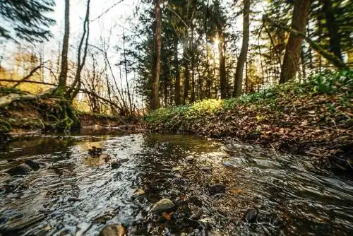 ‘‘FOREST HOUSE ’‘ Будинок для відпочинку - 24