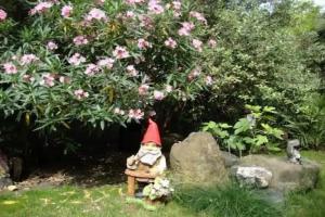 Delfin Guest house, Lazarevskoye