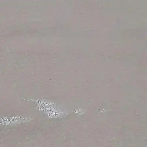 База отдыха Автомобилист - 15