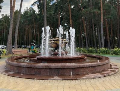 Sanatorii "Ruzhanskii' - 45