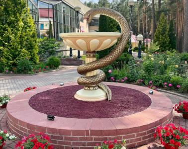 Sanatorii "Ruzhanskii' - 44