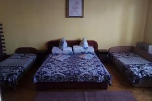 Mitva Hotel, Uzhgorod